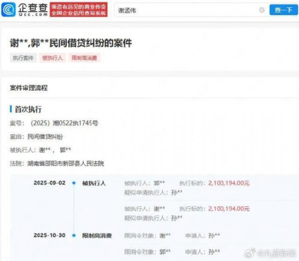 富灯网配资 “嘎子哥”谢孟伟再次被限制高消费