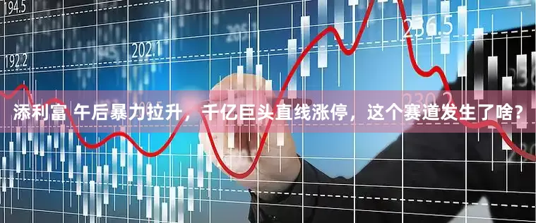 添利富 午后暴力拉升，千亿巨头直线涨停，这个赛道发生了啥？